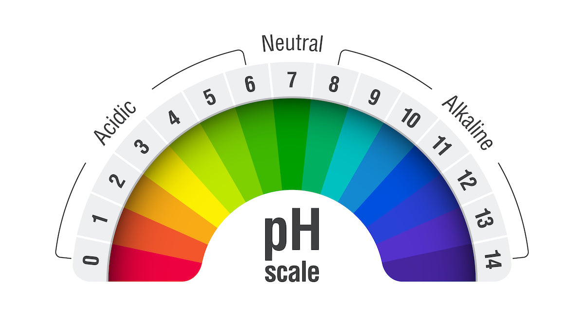 Cân bằng pH có nghĩa là gì? - drphamthuy